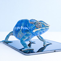 Digitale Frischelogistik